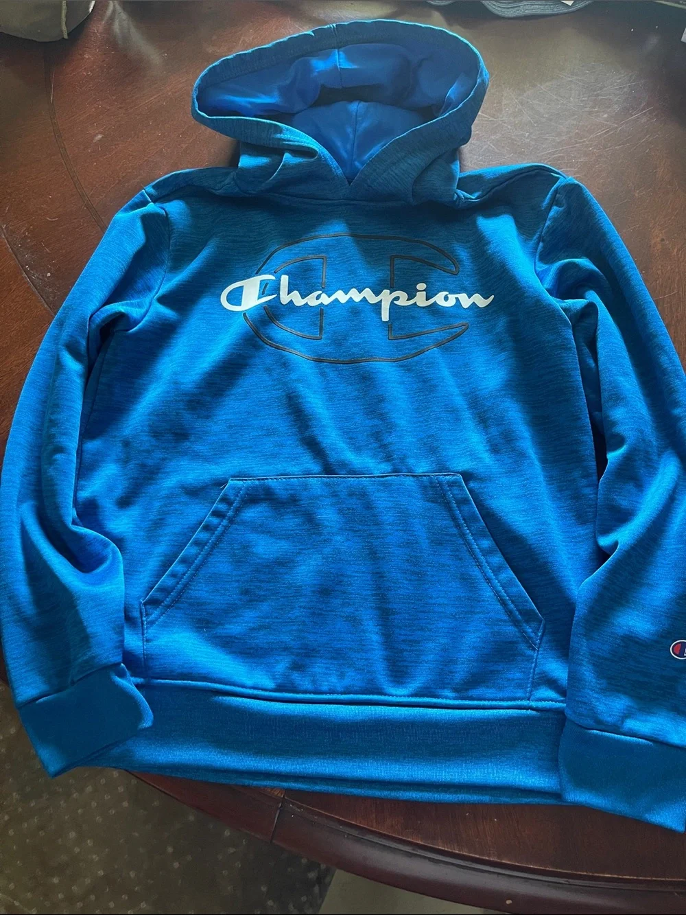 Lot of 2 Boys Hurley & Champion Pullover Hoodies Size 10/12